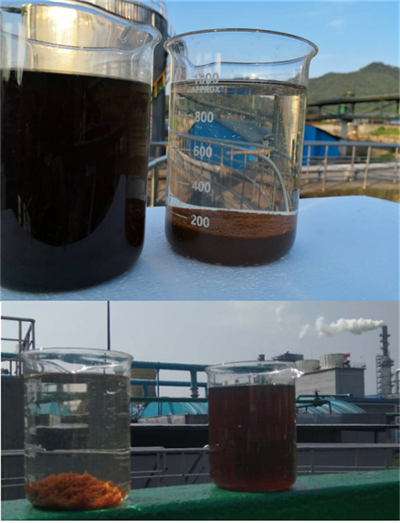 Effect drawing of secondary sedimentation effluent and mixed sedimentation effluent
